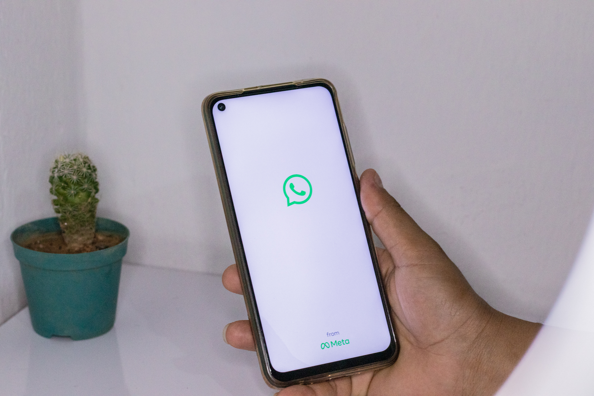 Você terá que ficar atento às novas regras do WhatsApp que serão lançadas em breve no app. A aceitação será obrigatório em alguns casos.